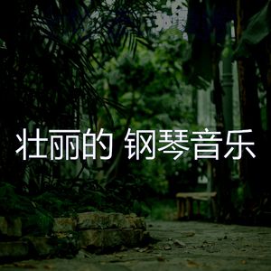 一尘不染睡眠印象数