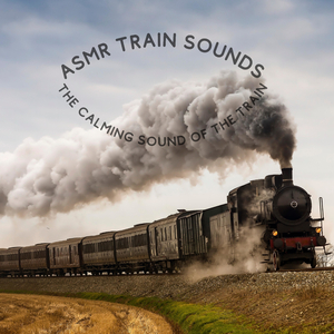 A Calming Train Trip