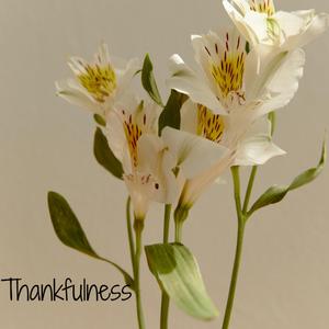 Thankfulness