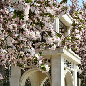 南开秋天(COVER BY 北约代号江卫II)