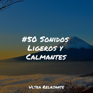 Reflejos Del Lago