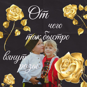 От чего так быстро вянут розы
