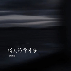 消失的那片海 (伴奏)