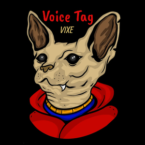 Voice Tag