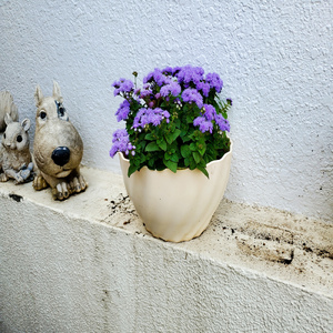 いつかどこかで