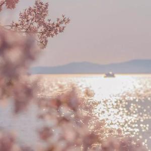 万古生香（明日方舟翻填）（翻自 洛天依）