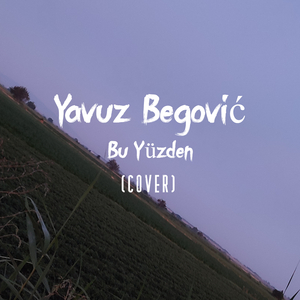 Bu Yüzden