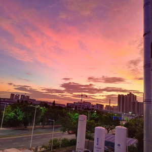 董小姐（翻唱）(1)