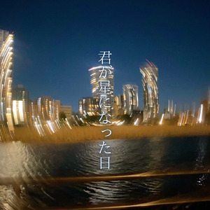 君が星になった日