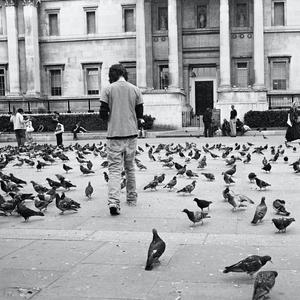 Feed the birds Mary Poppins (feat. The Disneylanders) (Lullaby)