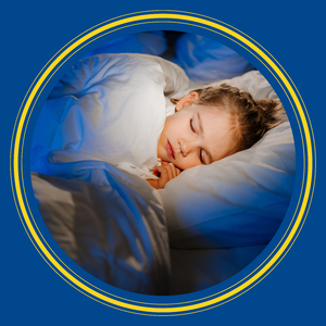 Лесной закат ночи