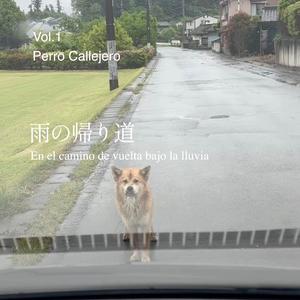 雨の帰り道（En el camino de la vuelta bajo la lluvia）