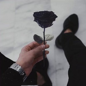 眼泪决定（热搜版）