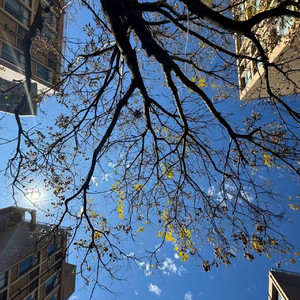 末日下的爱之终章