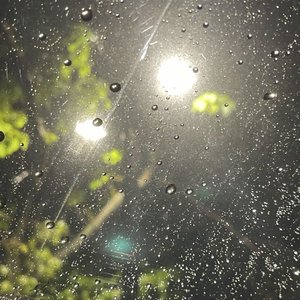 你沉默不语雨越下越密