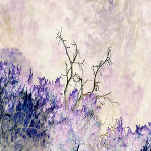 Amethyst (feat. Kevin Kazi & Bigbabygucci)