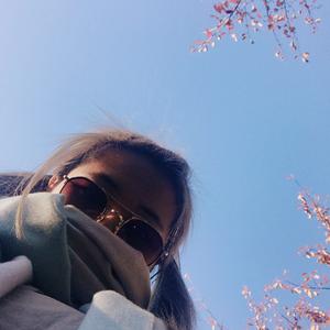 最美不过是朝晖