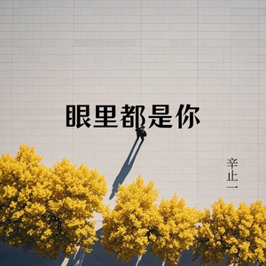 眼里都是你