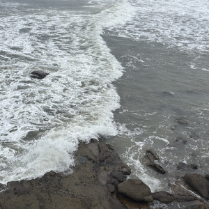 it's been a long journey, hasn't it?