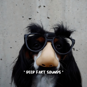 hilarious sounds of farts
