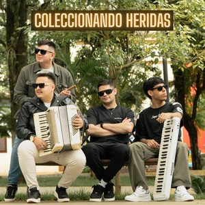 Coleccionando Heridas