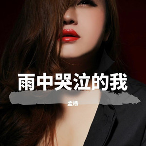 雨中哭泣的我（电影再见北京之插曲）原声大碟