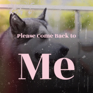 I Take a Lot of Pride in What I Am