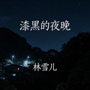 漆黑的夜晚