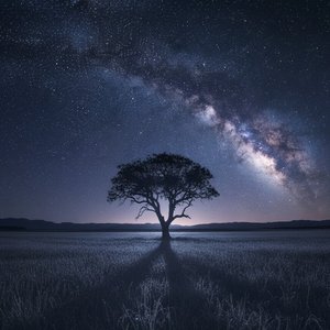 那是心跳最后的回响