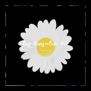 DJ_Fell Lock-Big bang-Bae bae（DJ_Fell Lock remix）