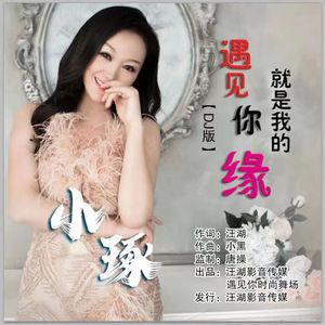 遇见你就是我的缘（DJ版）