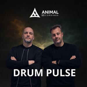 Drum Pulse