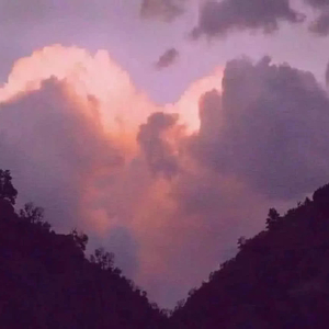 只要能救活他我愿意