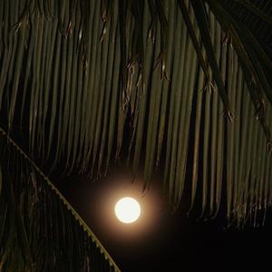 1Kilo-Deixe-Me Ir（马泽龙 remix）