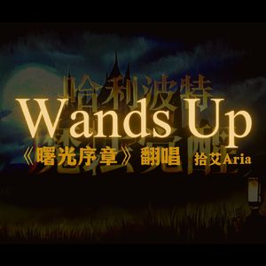 Wands Up《曙光序章》（翻自 哈利波特魔法觉醒）