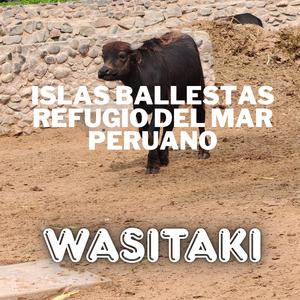 Islas Ballestas (Refugio del Mar Peruano)
