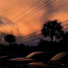 日落总是和你一样 (DJ版)