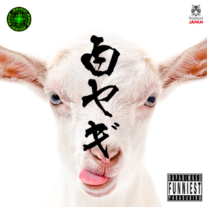 白ヤギ