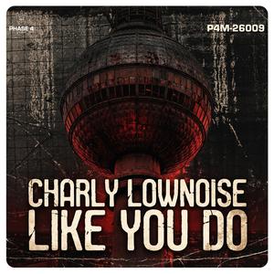 Like You Do (Radio Edit)