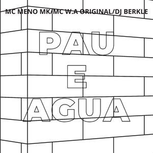Pau e Agua