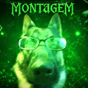 MONTAGEM CACHORRO