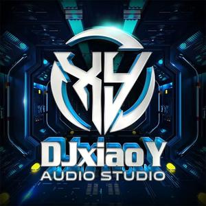 别怕我伤心（DJ版）