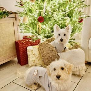 Unwrap (feat. Benjiprodit)