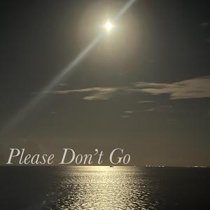 Please Don't Go