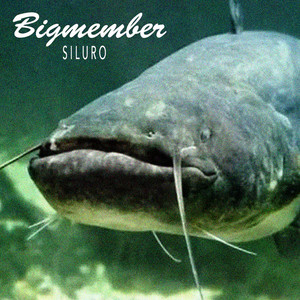 Siluro