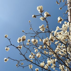 雨天里的季节性想念