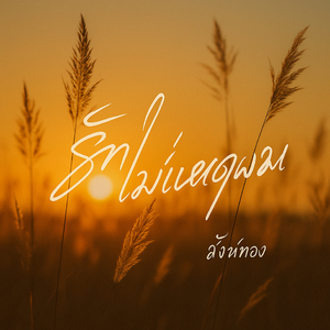 รักไม่มีเหตุผล