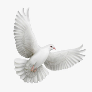 Egire Pavurama Yeda Nee Panjarama (Live)