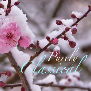 The Clown, Le Chout, Balletsuite, Op 21: XI