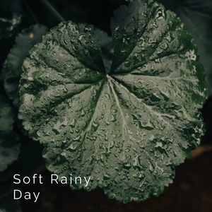 Soft Rainy Day